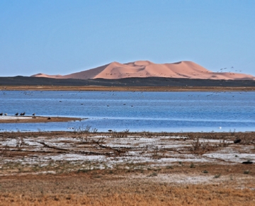 Eco-Tours & Bird watching