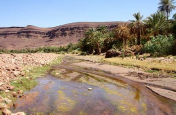 Desert Astro Camp Desert Astro Camp